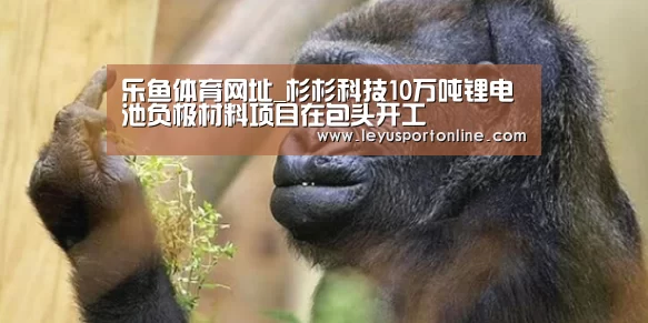 乐鱼体育网址_杉杉科技10万吨锂电池负极材料项目在包头开工(图3) 乐鱼体育网址
