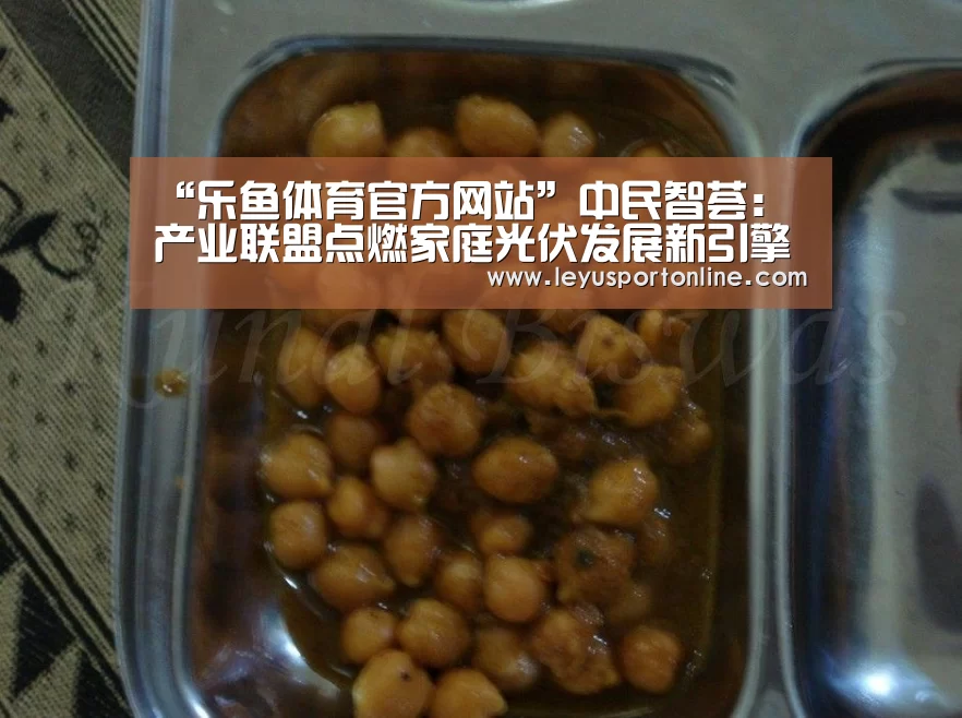 “乐鱼体育官方网站”中民智荟:产业联盟点燃家庭光伏发展新引擎(图3) 乐鱼体育官网入口