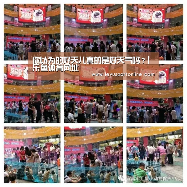 你以为的好天儿真的是好天气吗?|乐鱼体育网址(图2) 乐鱼体育网址