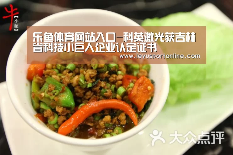 乐鱼体育网站入口-科英激光获吉林省科技小巨人企业认定证书(图2) 乐鱼体育官方网站