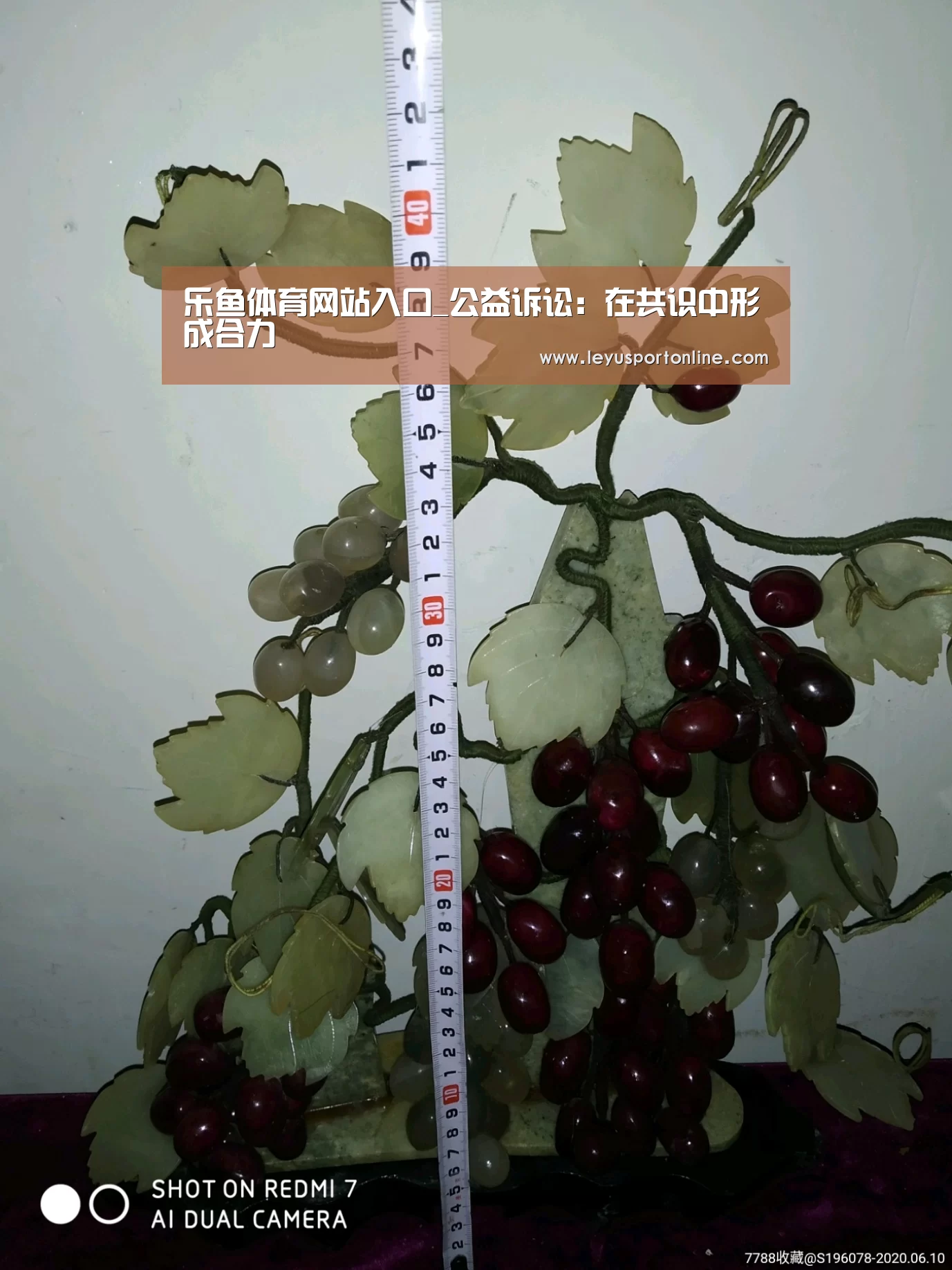乐鱼体育网站入口_公益诉讼:在共识中形成合力(图2) 乐鱼体育网站入口