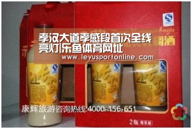 孝汉大道孝感段首次全线亮灯|乐鱼体育网址(图2) 乐鱼体育官网入口