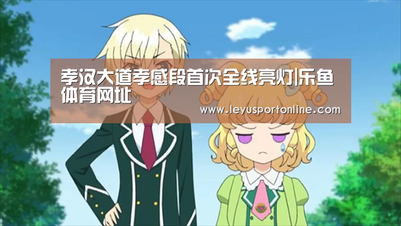 孝汉大道孝感段首次全线亮灯|乐鱼体育网址(图1) 乐鱼体育网址