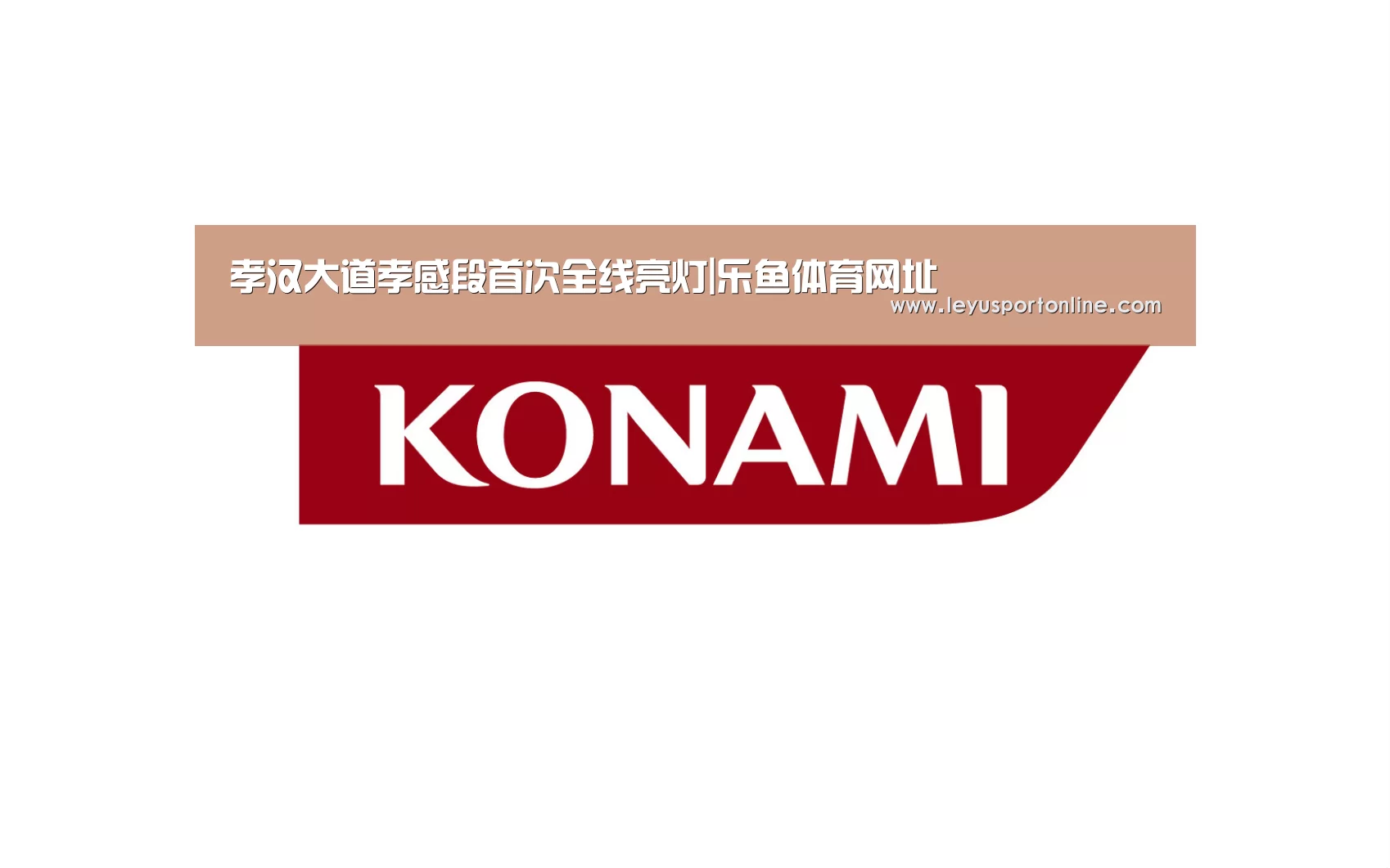 孝汉大道孝感段首次全线亮灯|乐鱼体育网址(图3) 乐鱼体育官方网站