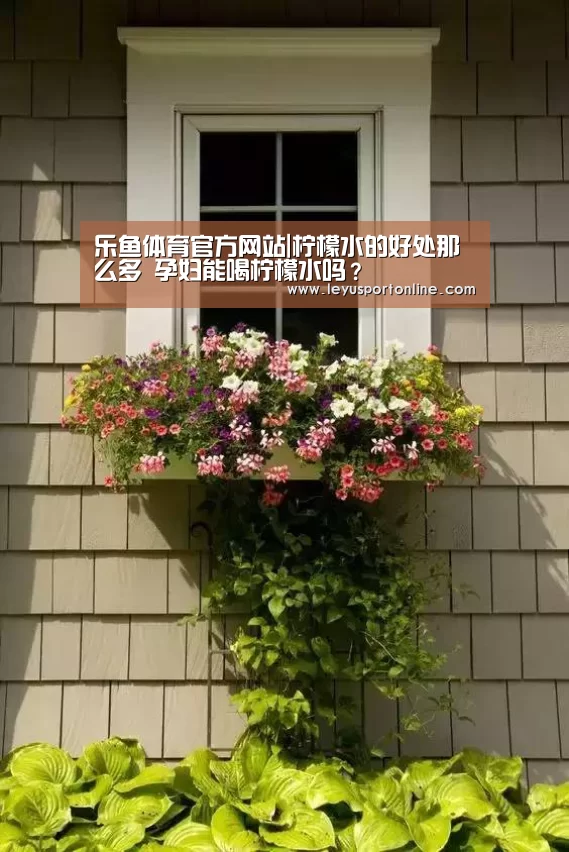 乐鱼体育官方网站|柠檬水的好处那么多 孕妇能喝柠檬水吗?(图2) 乐鱼体育官方网站